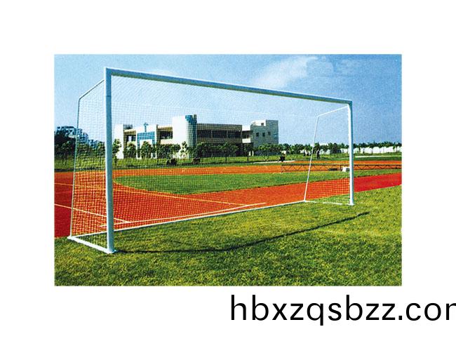 SY-B-002  標(biao)準(zhun)足毬(qiu)門(men)